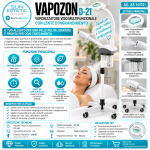 Infografica Vapozon D 21 Professionale
