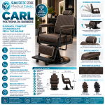 Brochure Professionale della Poltrona Carl